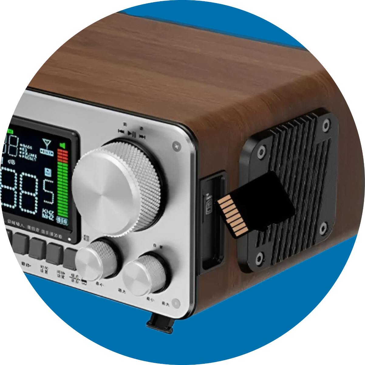 De Hanrongda HRD-802 ondersteund SD-kaarten tot 256 GB waarmee je muziek kunt afspelen