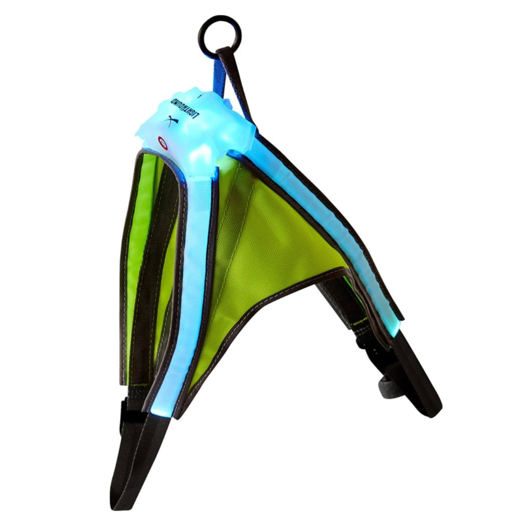 Noxgear LightHound hondentuig met oplaadbare ledverlichting