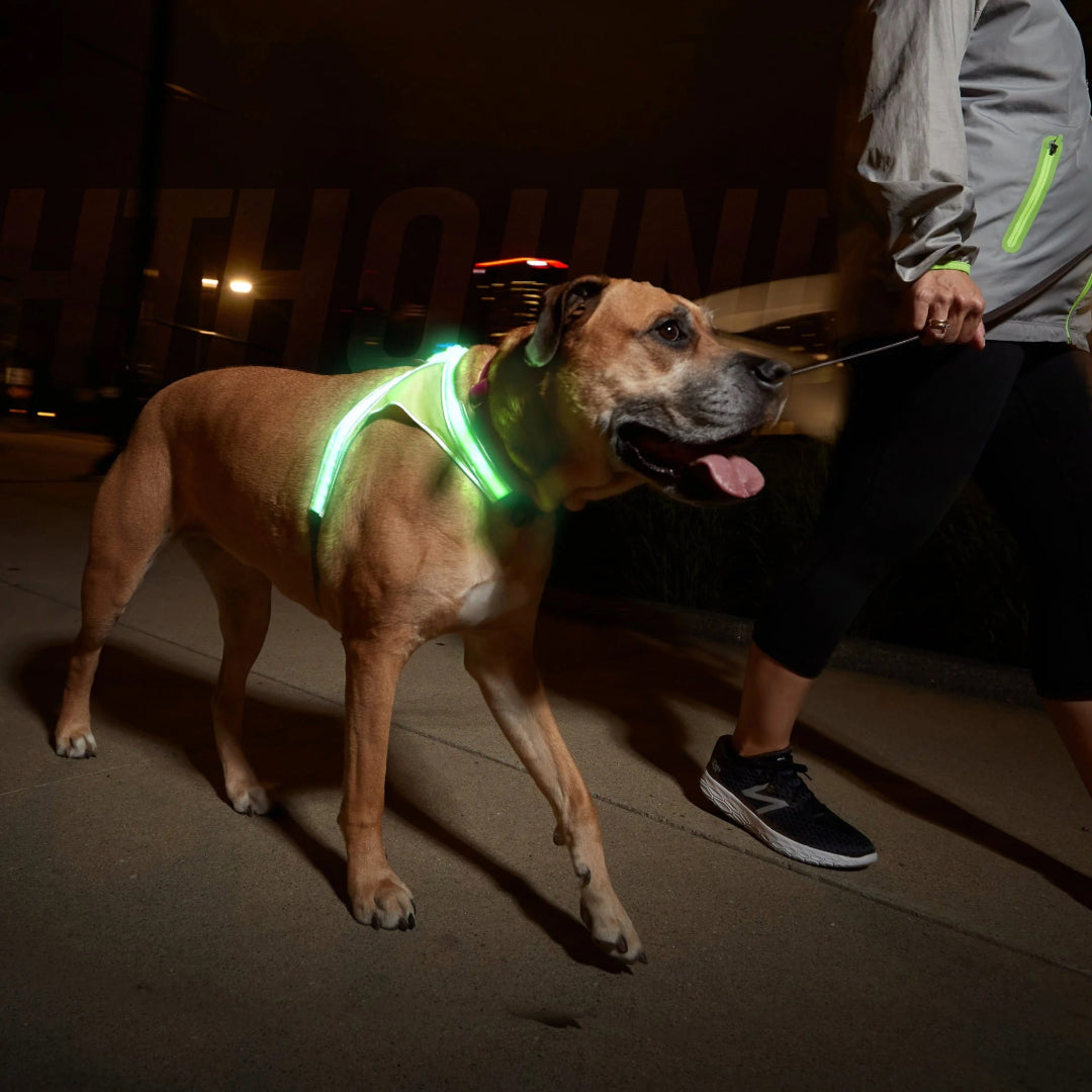 Noxgear LightHound