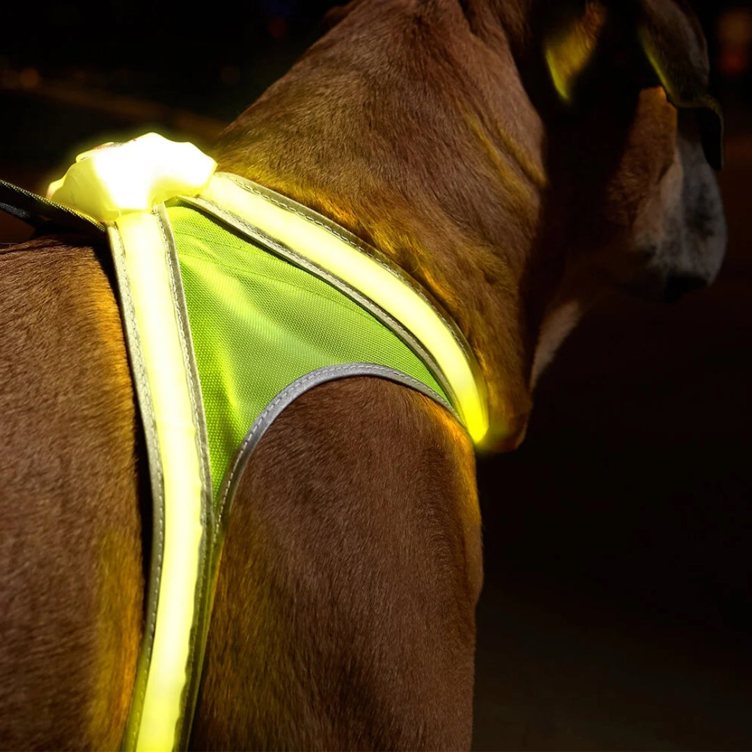 Noxgear LightHound