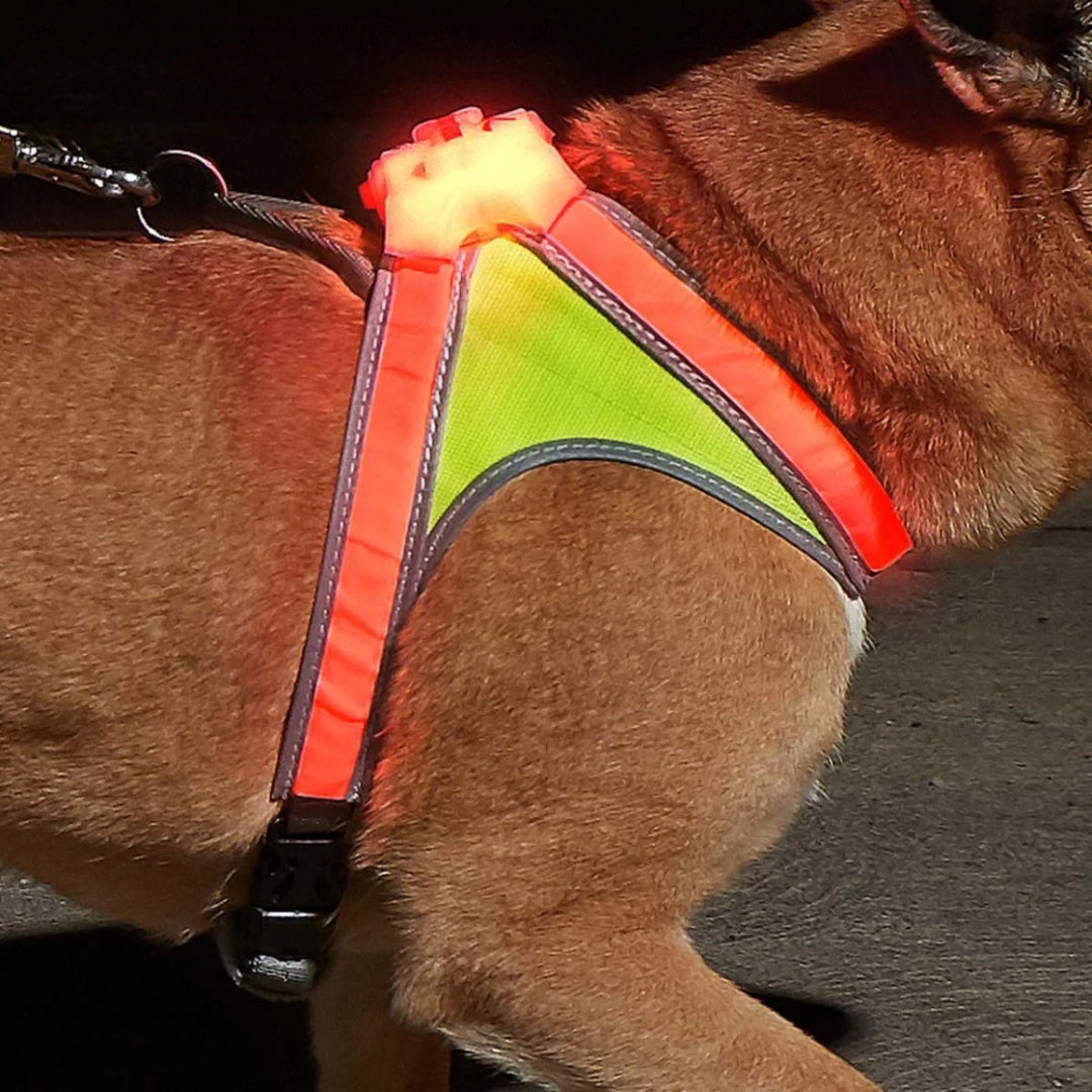 Noxgear LightHound