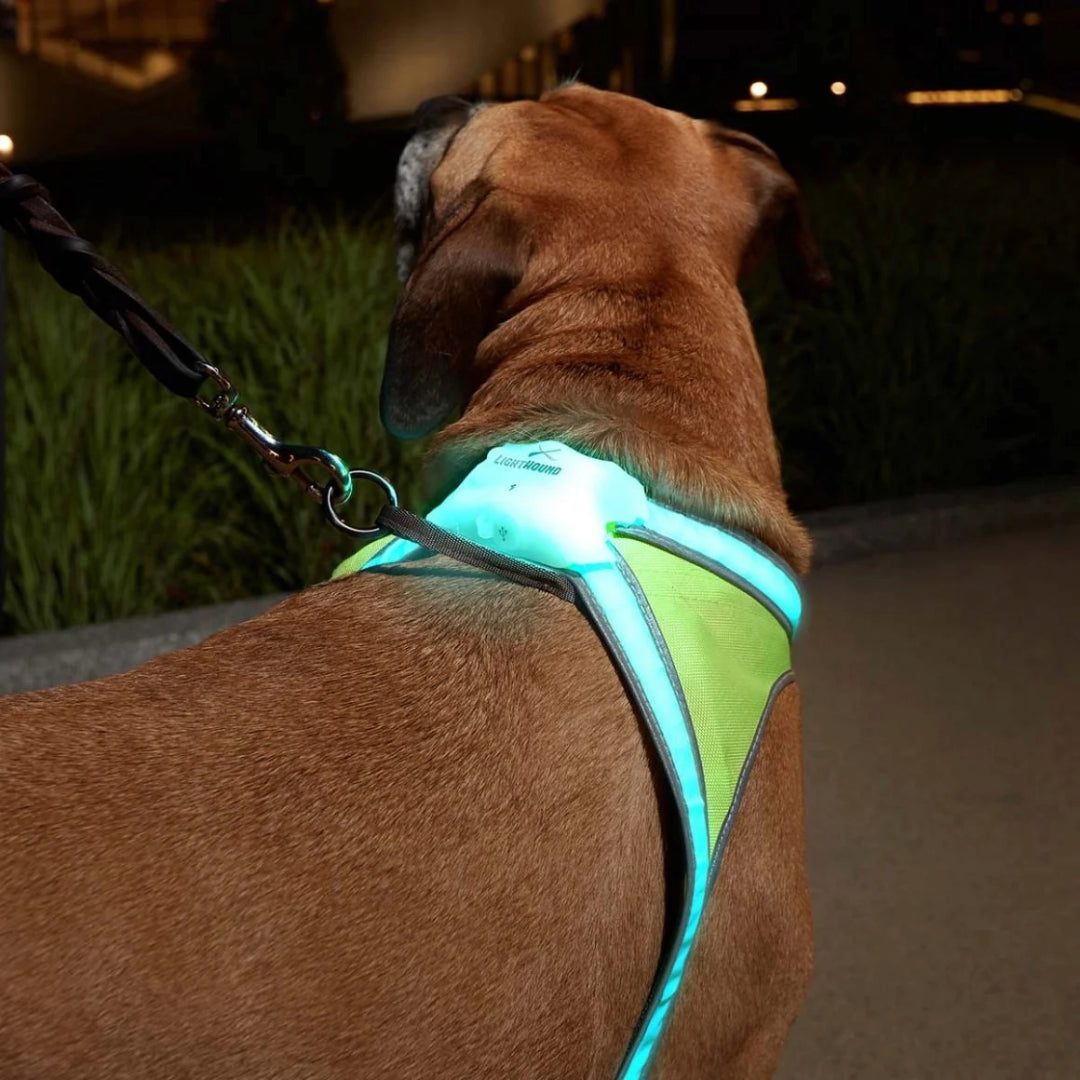 Noxgear LightHound