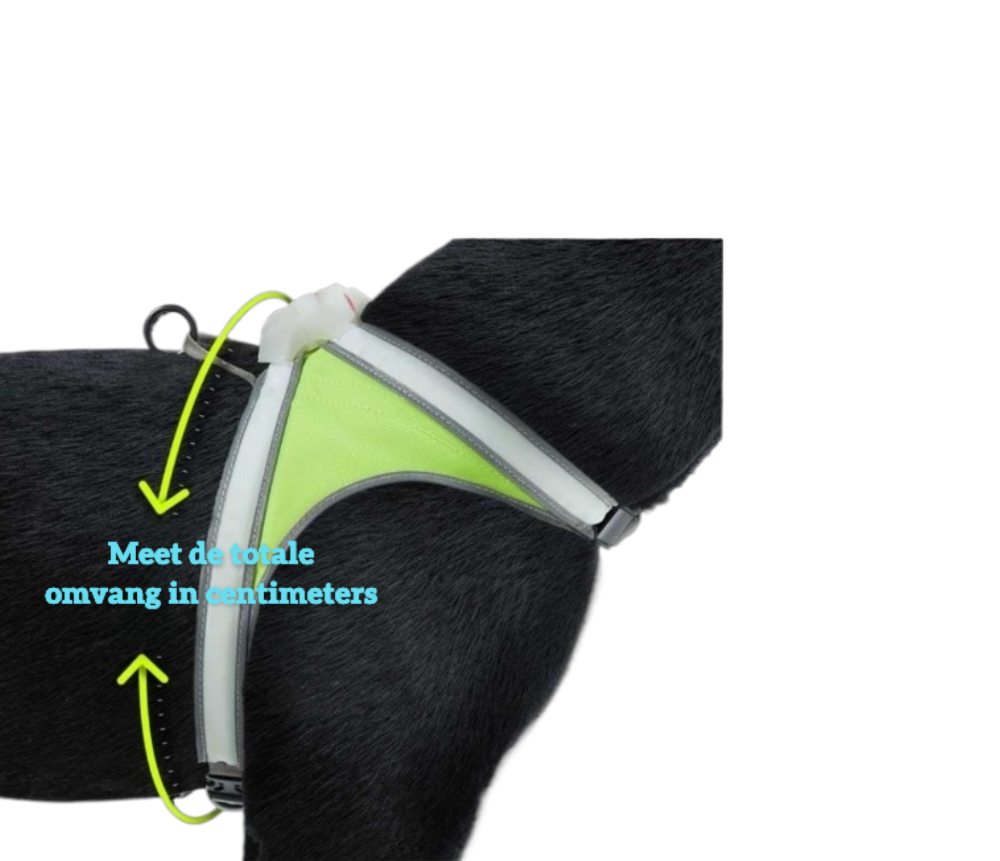 Noxgear LightHound opmeten bij je hond