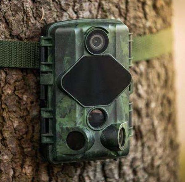 Midland C1622 wild camera bevestigd aan een boom