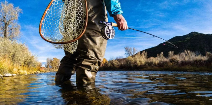 Gearkeeper retractors voor gebruik in de hengelsport. Voor visnetten, vistangen, waadstok, hengelbeveiliger en meer
