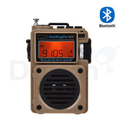 HanRongDa HRD-701 wereldontvanger met groot verlicht display