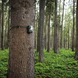 Midland C1623 wildcamera met WiFi en nachtzicht voor het vastleggen van beweende beelden van wolven, herten, everzwijnen, vossen en ander wild