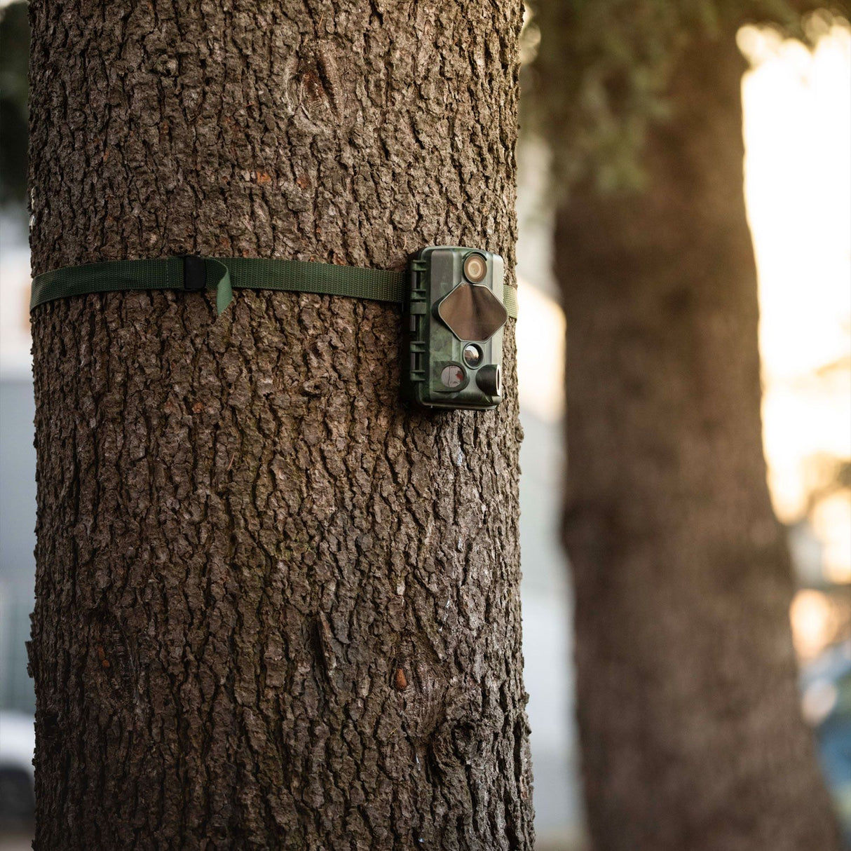 Midland Wildcamera met Wifi, nachtzicht en bewegingssensor waarmee je wolven, vossen, herten, everzwijnen en ander wild kunt vastleggen op videobeelden