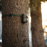 Midland Wildcamera met Wifi, nachtzicht en bewegingssensor waarmee je wolven, vossen, herten, everzwijnen en ander wild kunt vastleggen op videobeelden